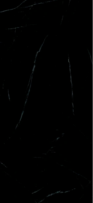 Black Glossy Zebrawood Marble Marble Finish HPL sheet (8x4 feet,6 mm) : HPLS-52456-D