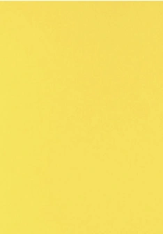 Yellow Matte Plain HPL sheet (10x4.25 feet,6 mm) : HPLS-52472