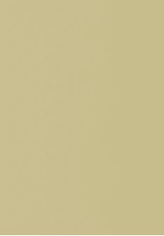 Beige Matte Plain HPL sheet (10x4.25 feet,6 mm) : HPLS-52474