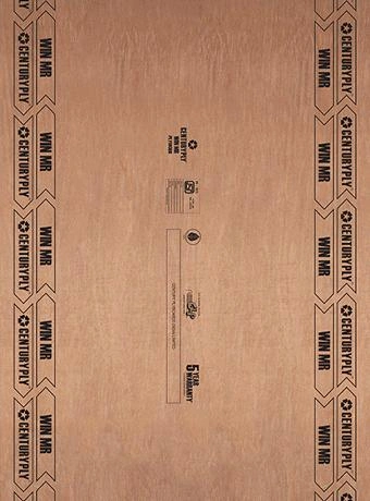 Eucaliptus WIN Brown Plywood (7x4 feet,8 mm) : PB-35903-F