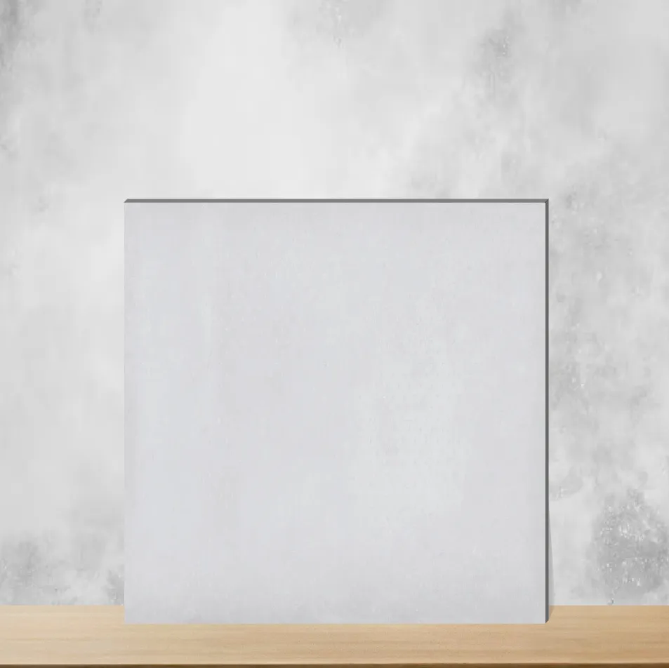 Ceramic Mood Light Grey Plain Solids Glossy Rectangular Tiles TL-5802-C (24x12 inch | 8 mm)