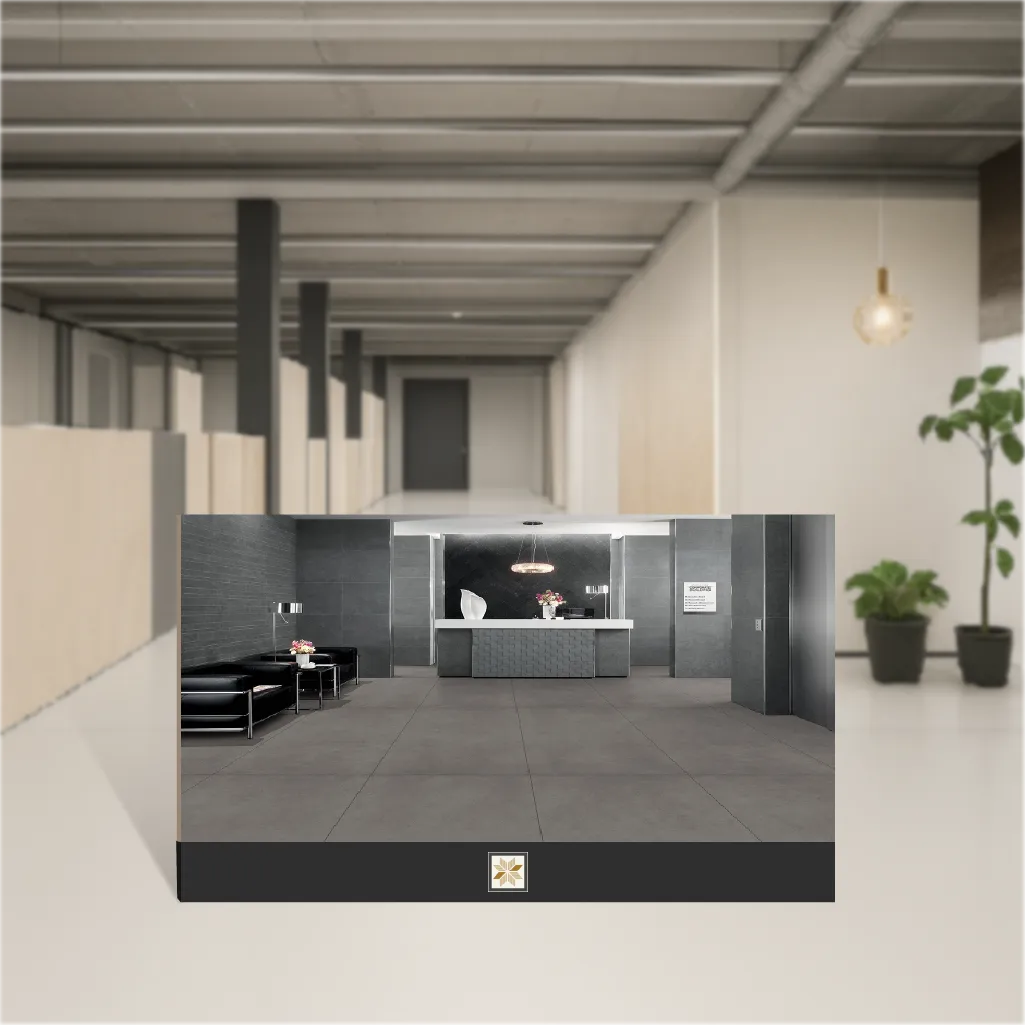 Vitrified Ava Basalt Plain Solids Matt Rectangular Tiles TL-8159 (4x2 feet | 9 mm)