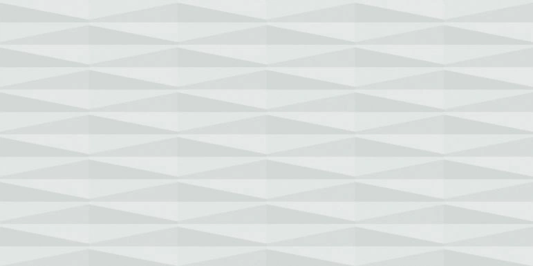 Ceramic Miraq Diamond Arctic White Matt Rectangular Tiles TL-1110-H (24x12 inch | 8 mm)