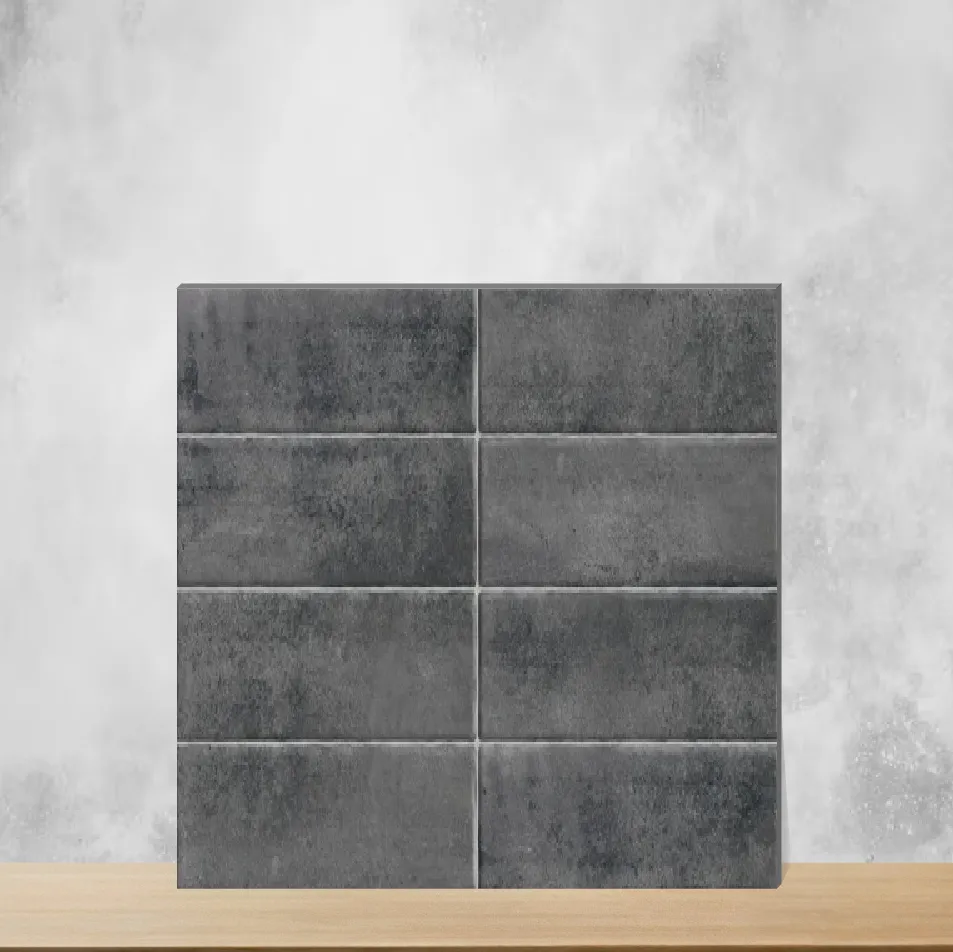 Ceramic Glossy Rectangular Tiles TL-9858-C (24x12 inch | 9 mm)