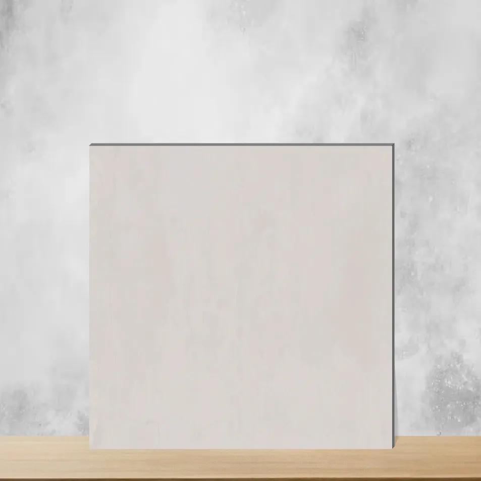 Ceramic S Oro LT Cement Look Matt Rectangular Tiles TL-9837-D (24x12 inch | 8 mm)