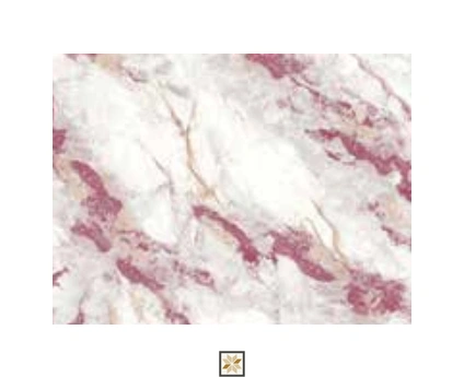 Pink Marble Wallpaper (1066.8 inches width) : WP-26042-F