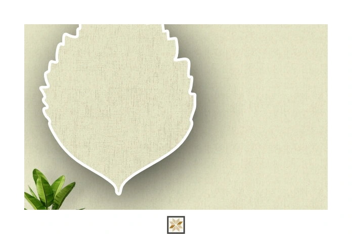 Cream Plain Wallpaper (533.4 inches width) : WP-26188-E