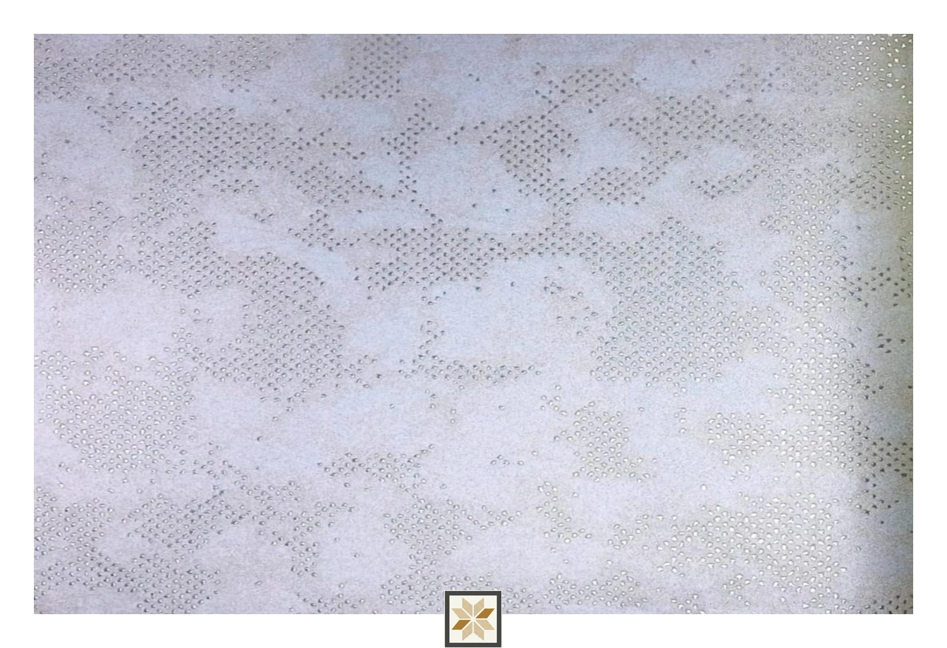 Grey Textured Non Woven Arte Muraux Wallpaper (533.4 inches width) : WP-26299