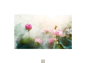 Multi Colour Tropical Non Woven Nature Art Wallpaper ( inches width) : WP-26680-C