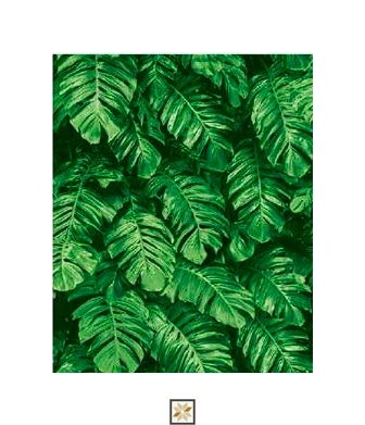 Green Flower Wallpaper (533.4 inches width) : WP-27634-A