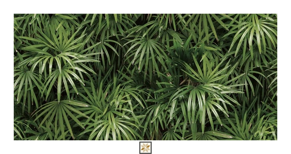 Green Nature Non Woven Wallpaper (1066.8 inches width) : WP-27768