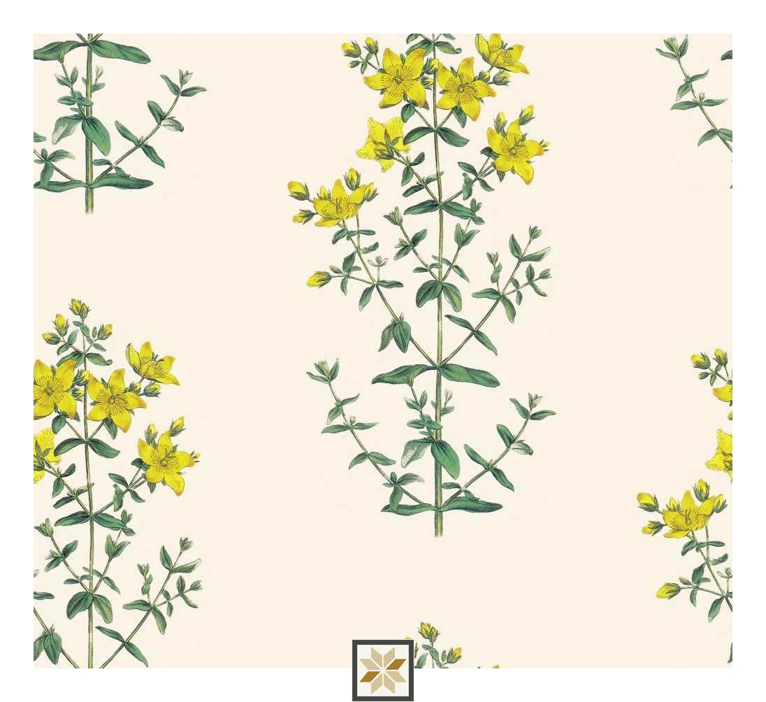 Multi Colour Flower Wallpaper (50 inches width) : WP-31492-D