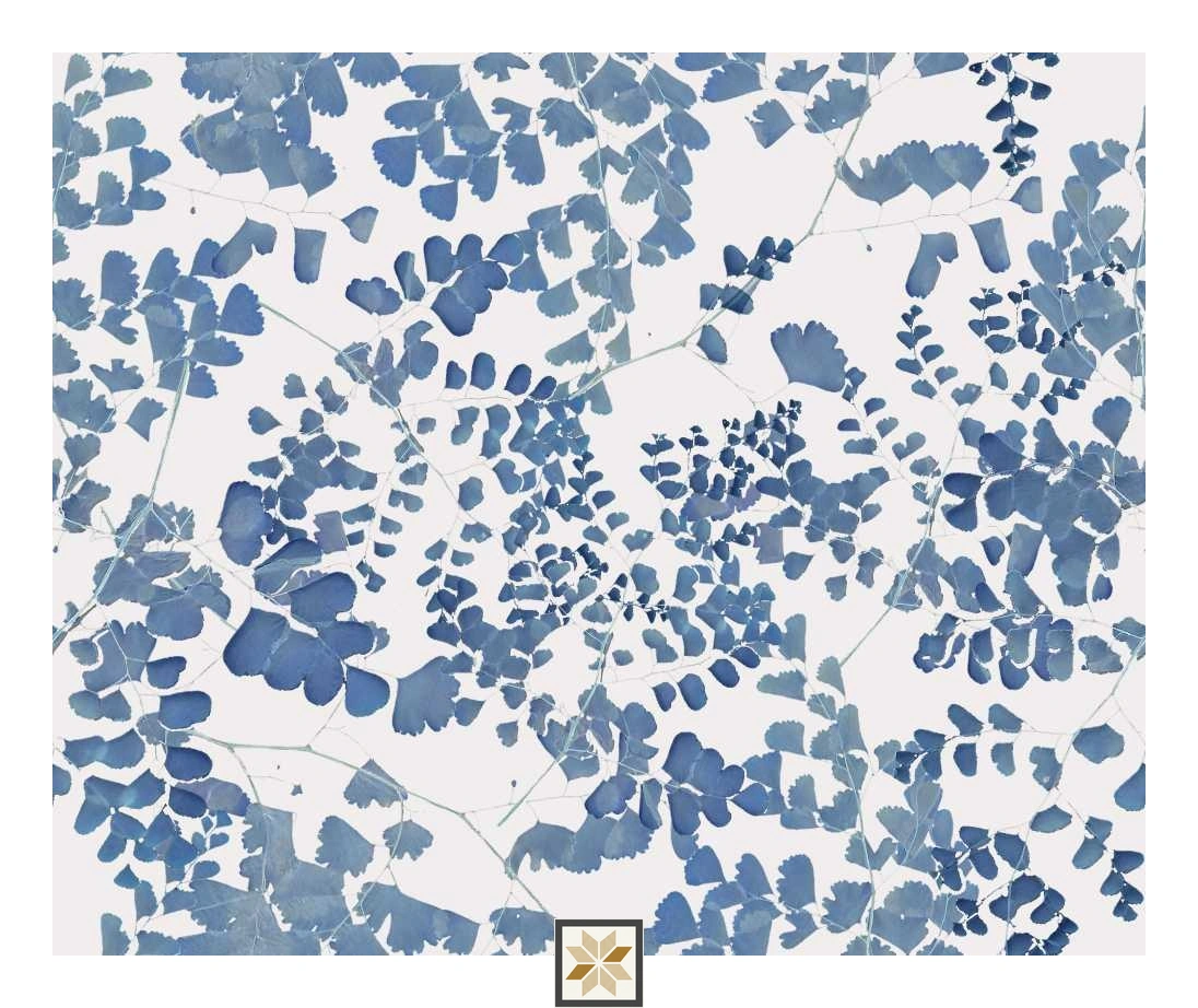 Multi Colour Flower Wallpaper (40 inches width) : WP-33281-B