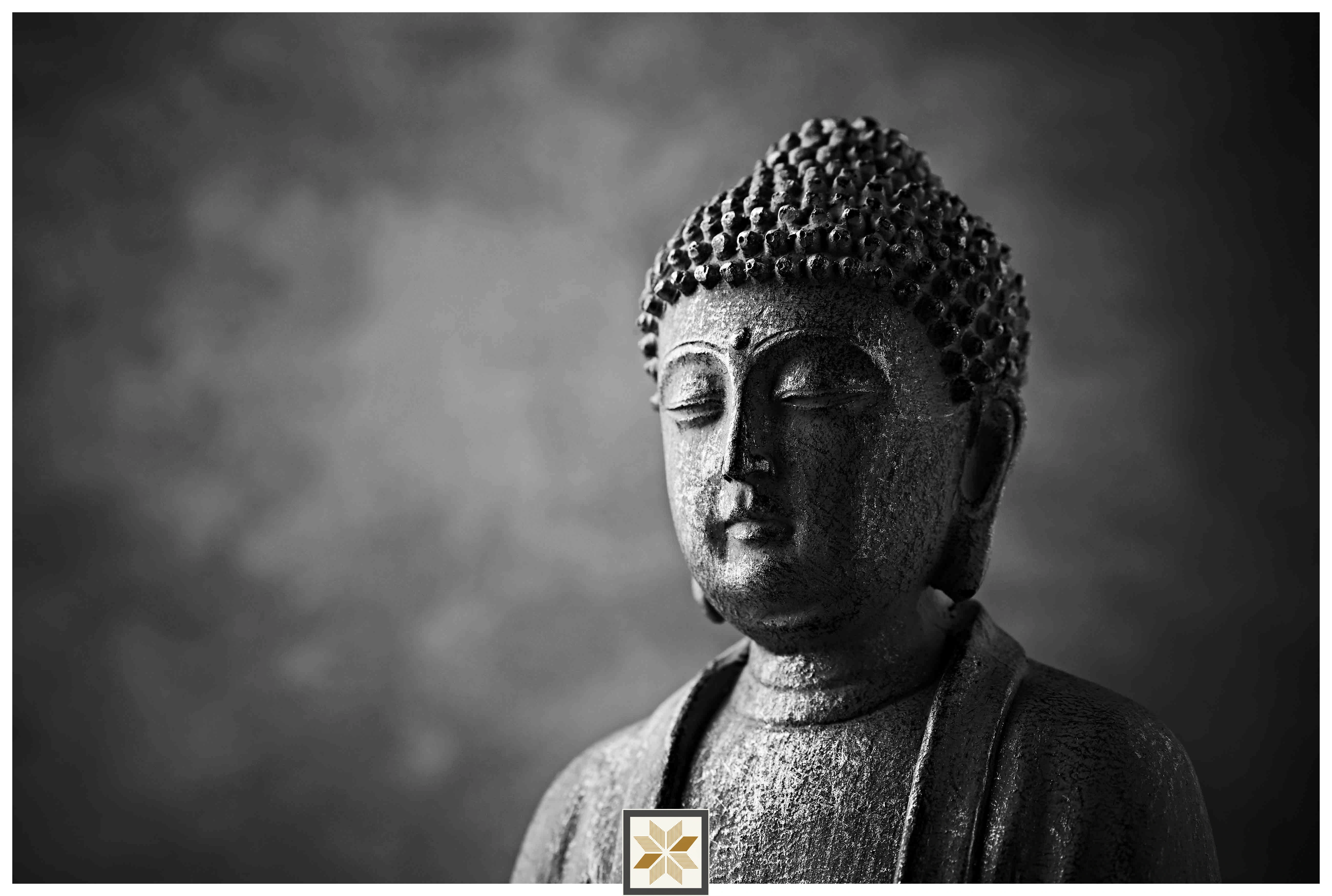 Silver Abstract Bhuddha Wallpaper (50 inches width) : WP-33039-D