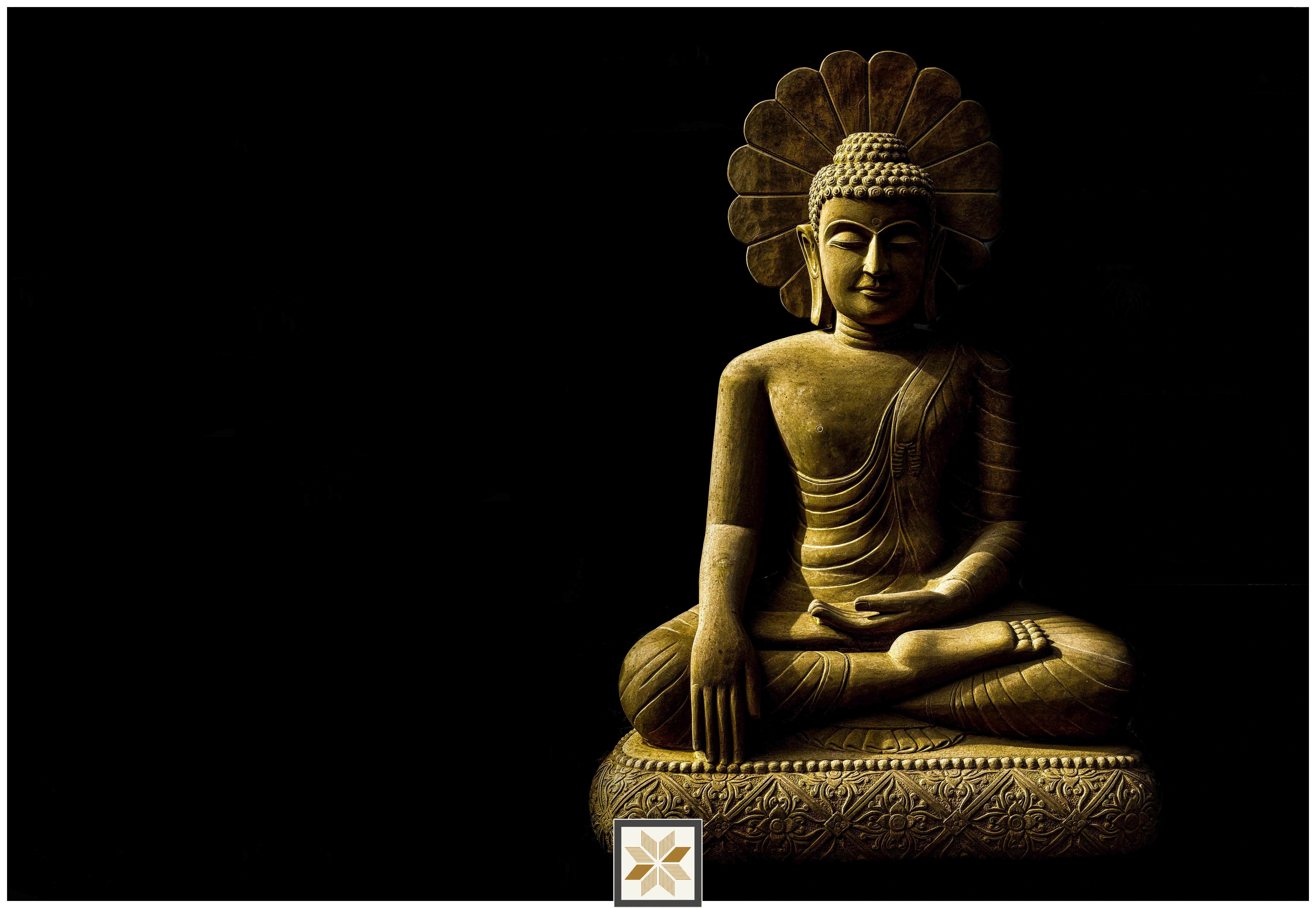 Gold Abstract Bhuddha Wallpaper (50 inches width) : WP-31114-D