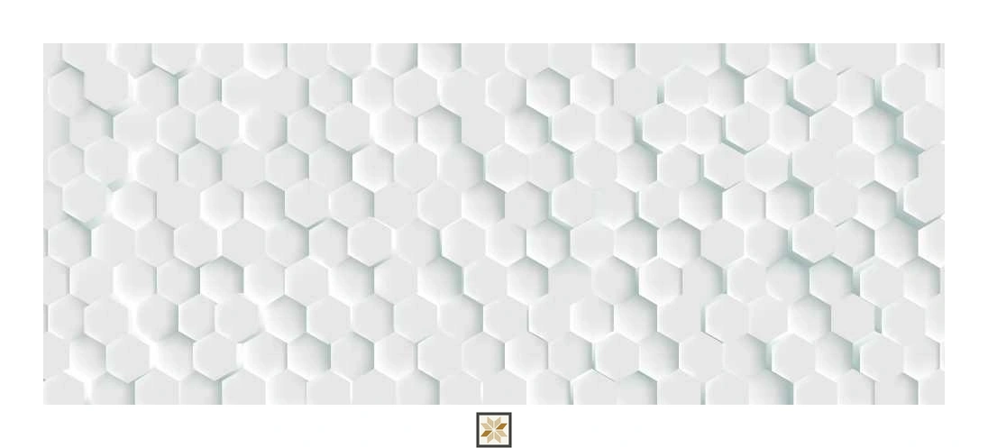 Multi Colour Shapes Murals Wallpaper (52 inches width) : WP-31812-C