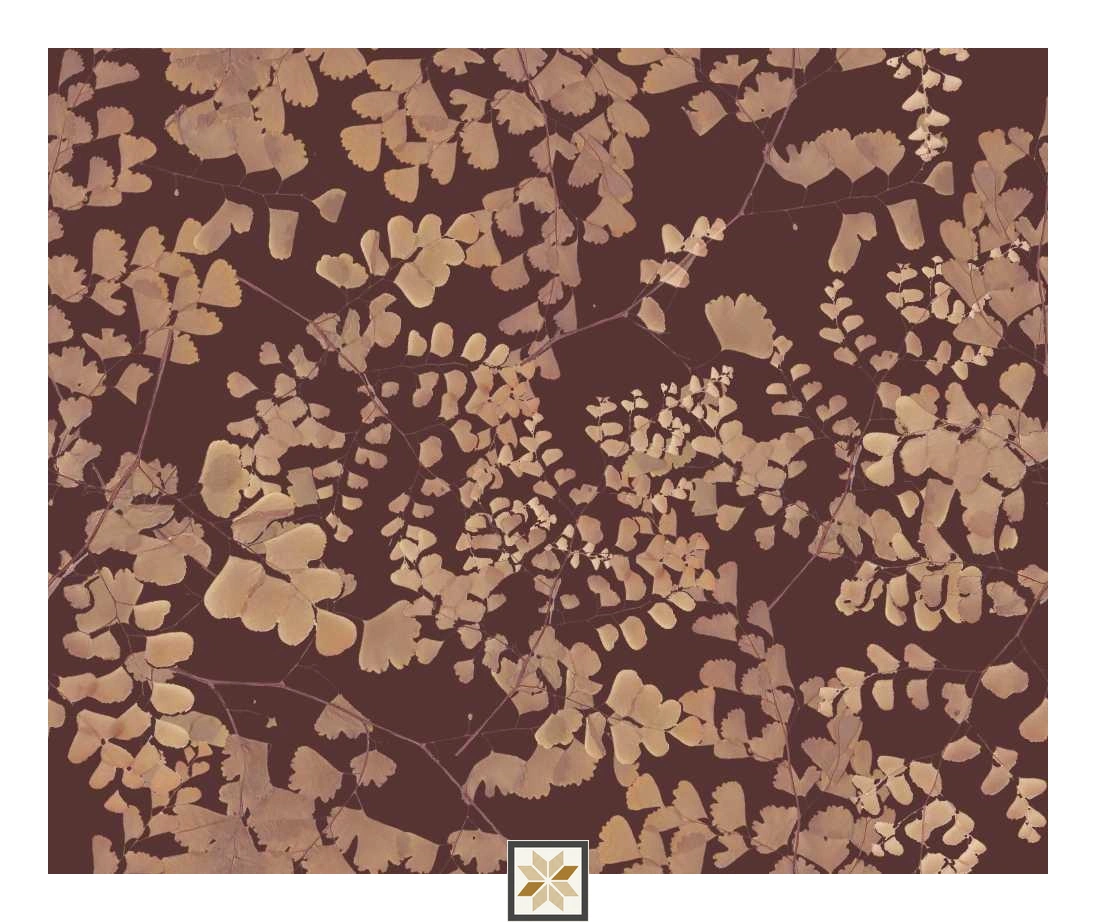 Multi Colour Flower Modern Wallpaper (50 inches width) : WP-31678-D