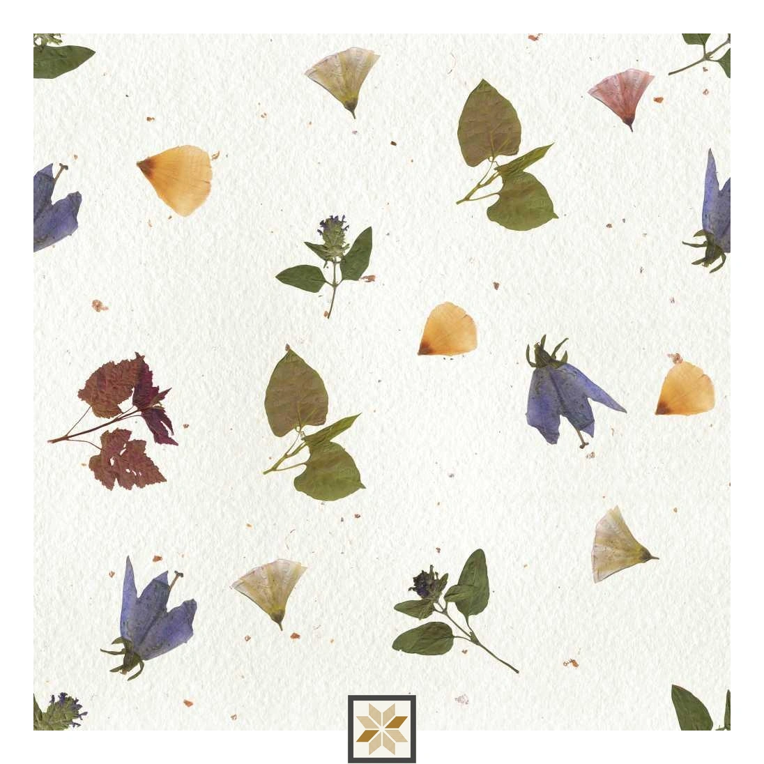 Multi Colour Flower Wallpaper (50 inches width) : WP-31489-D