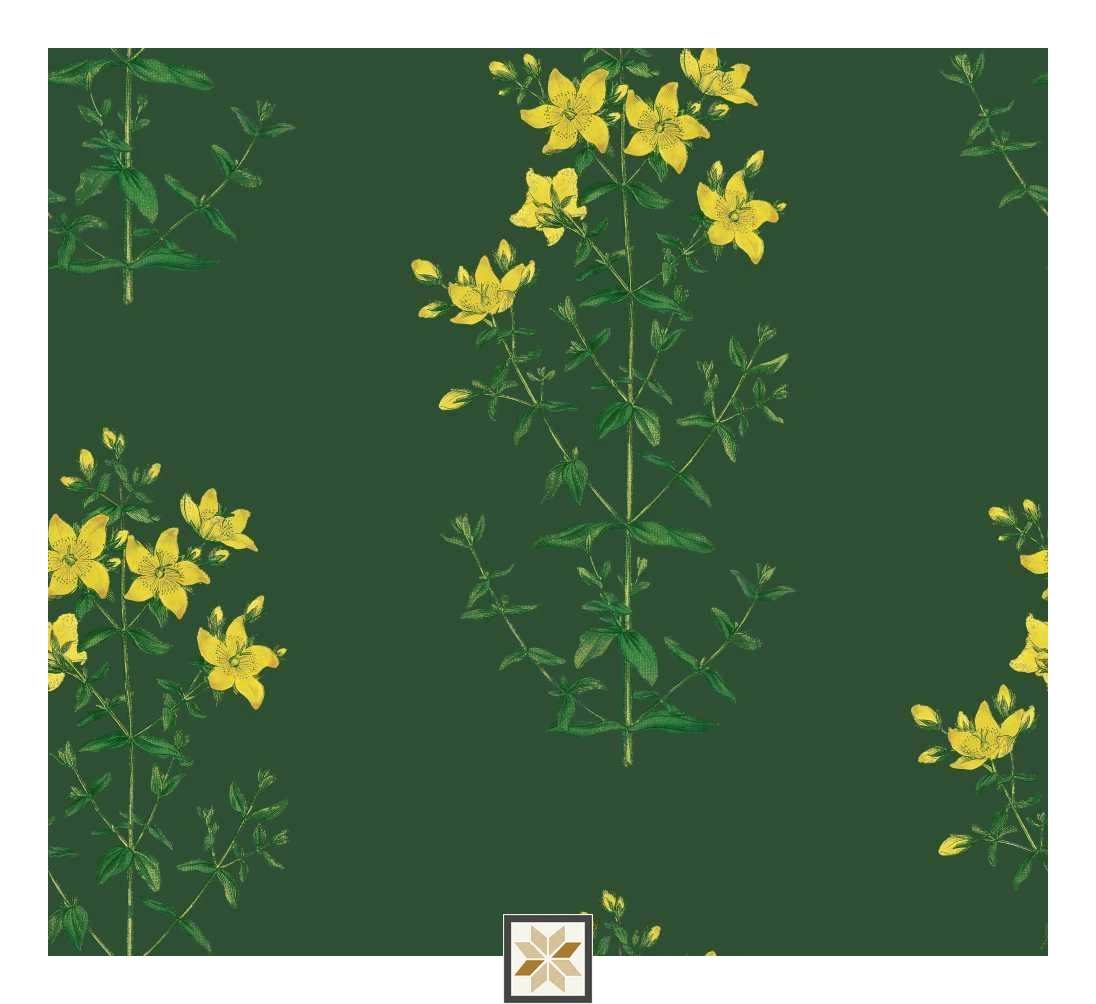 Multi Colour Flower Wallpaper (50 inches width) : WP-31974-D