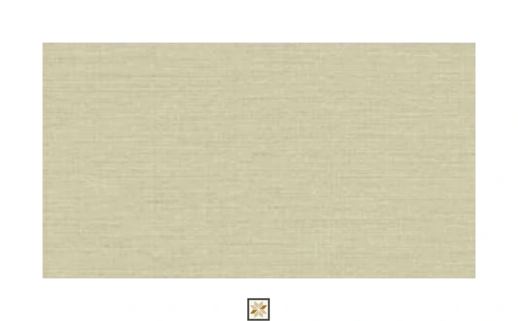 Brown Plain Wallpaper (1066.8 inches width) : WP-34724-C