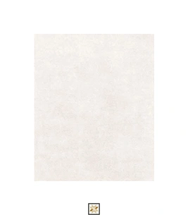 Cream Plain PVC(Vinyl) Wallpaper (533.4 inches width) : WP-34313