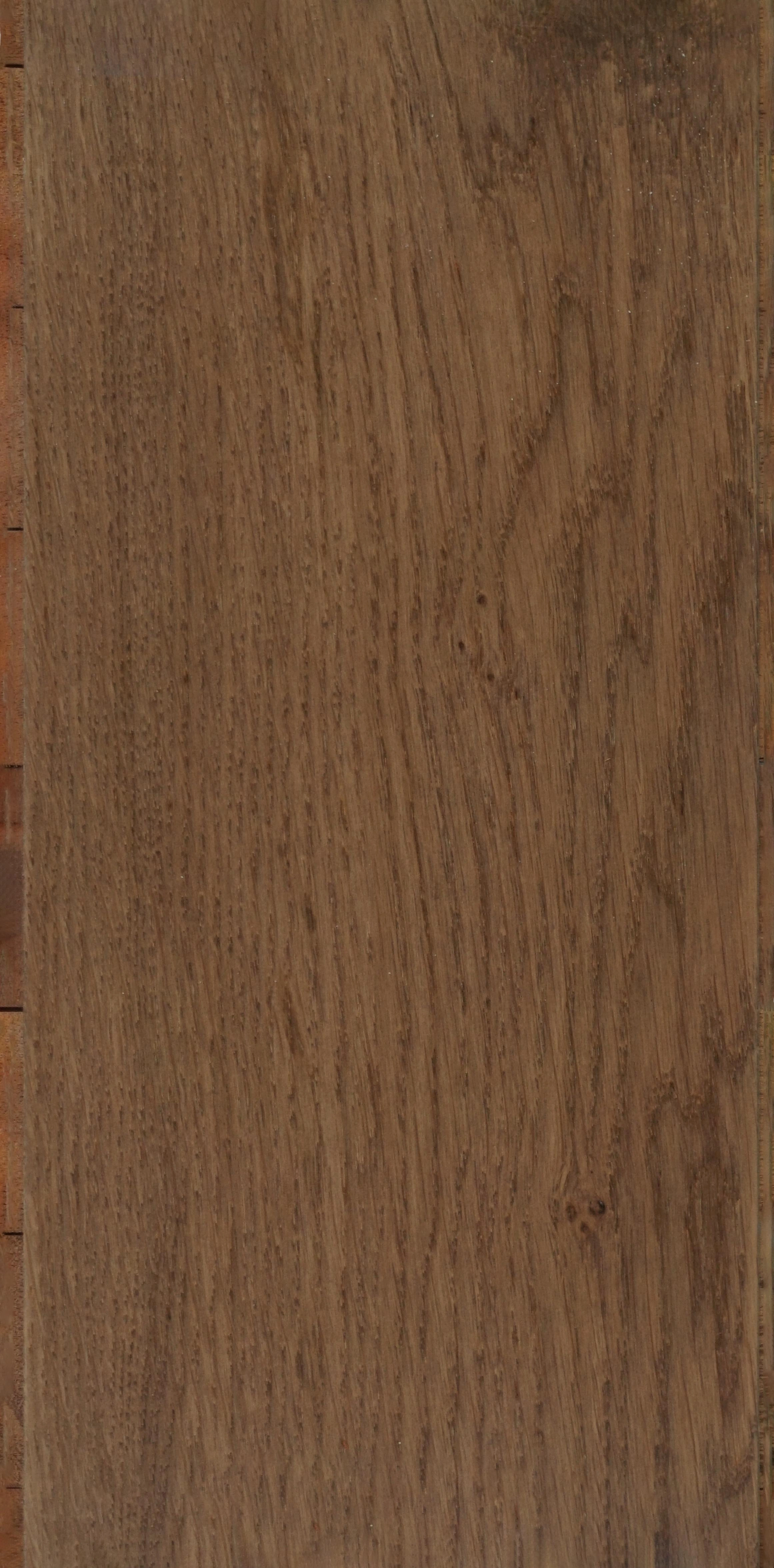 Butternut Matte Finish Pinewood Wooden Flooring | Best for Bedroom, Kitchen, Living Room, Office | WF-25151-C